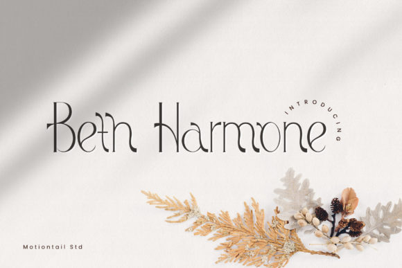 Beth Harmone: A Modern Display Font for Stronger Campaigns