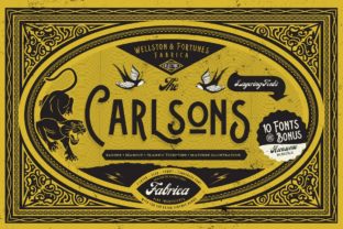 Carlsons Typeface for Web Design