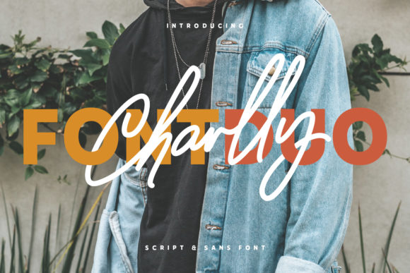 Charlly Font for Modern Web Design