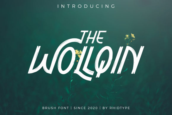 The Wollqin: A Simple Font That Transformed My Brand’s Visual Identity